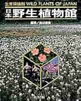 日本の野生植物 Ⅰ,Ⅱ 改訂新版 日本の野生植物 1 - 平凡社